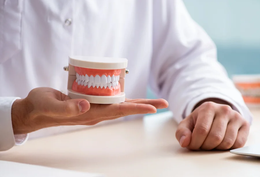 affordable dentures gastonia dentist holding denture model in hand